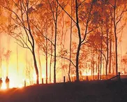 Australia: the church responds to the bushfire crisis