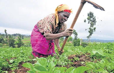 The gospel in African soil