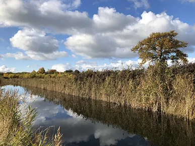 Fresh Fenland fellowship